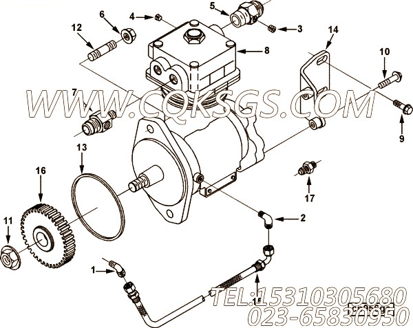 【阳性接头】康明斯CUMMINS柴油机的3280988 阳性接头