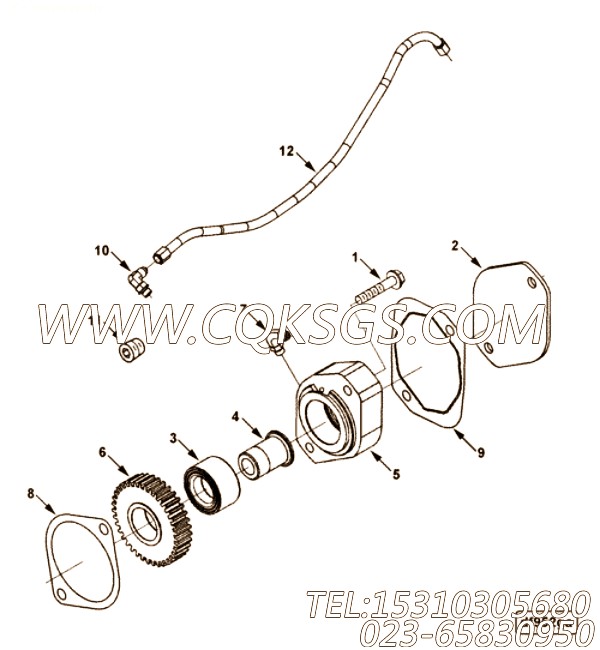 Gasket, Acc Drive Cover