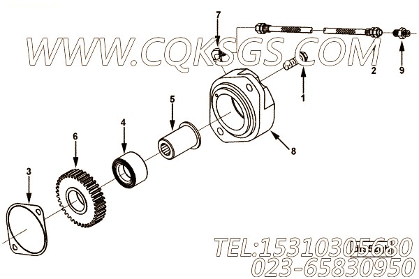 【3920794】组合软管 用在康明斯发动机