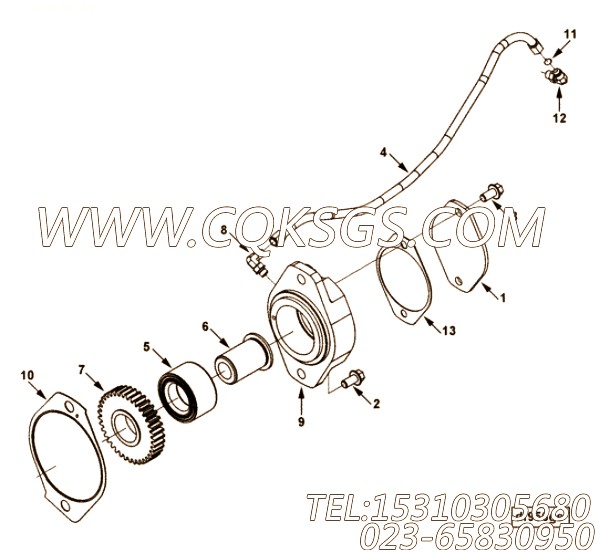 Gasket, Hydraulic Pump