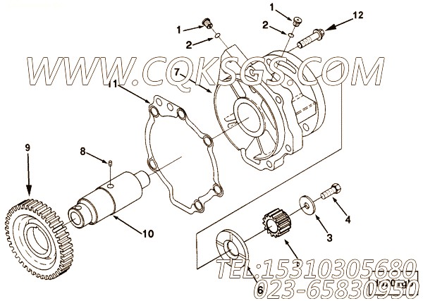 3883123螺栓,用于康明斯M11-C290柴油机附件驱动总成组,【银鹏水泵机组】配件