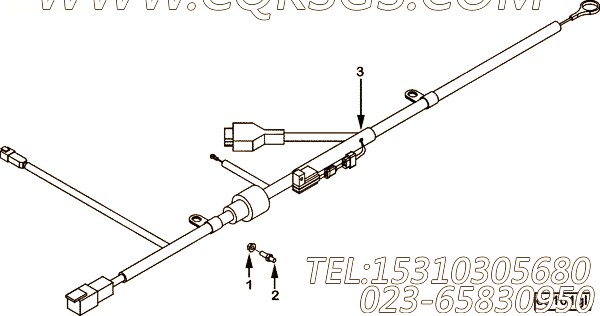 Harness, Wiring