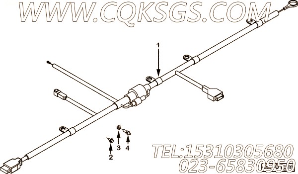 Harness, Wiring