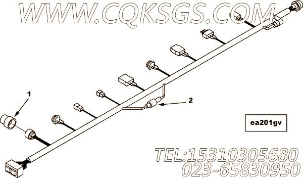 Harness, Wiring