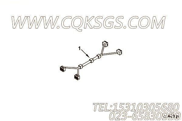 Harness, Wiring