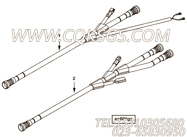Harness, Wiring