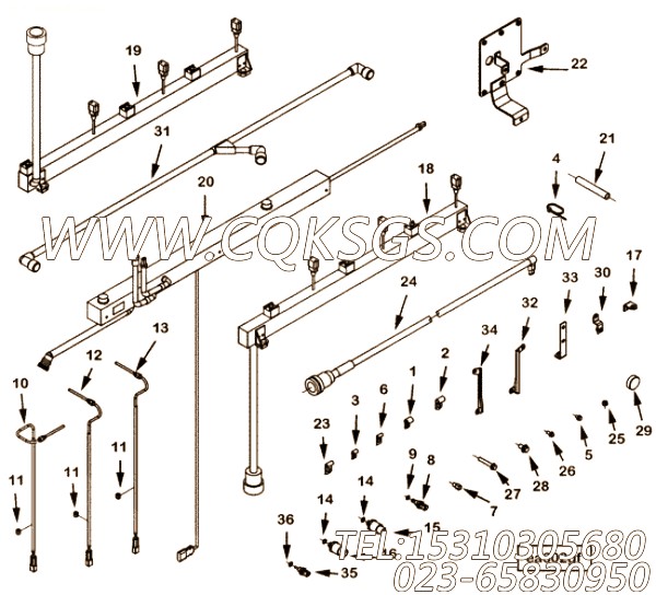 Harness, Wiring