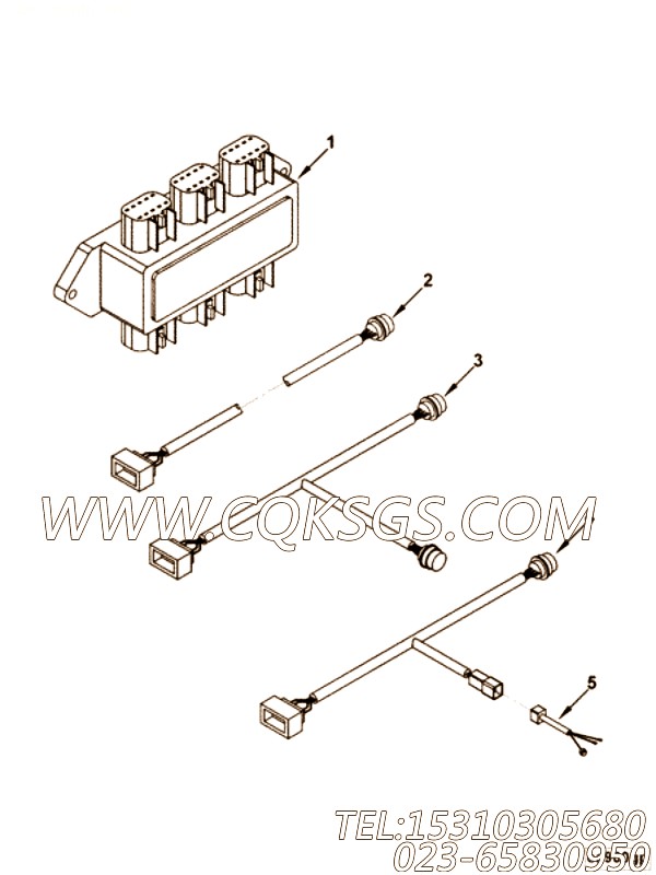 Harness, Wiring