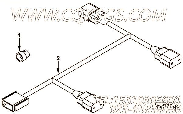 Harness, Wiring