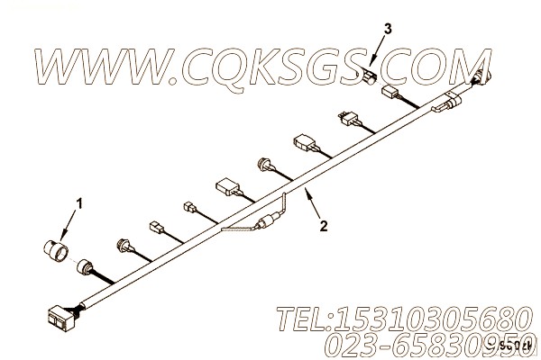 Harness, Wiring