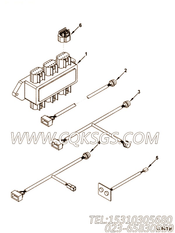 Harness, Wiring