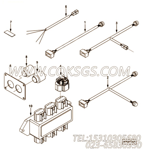 Harness, Wiring