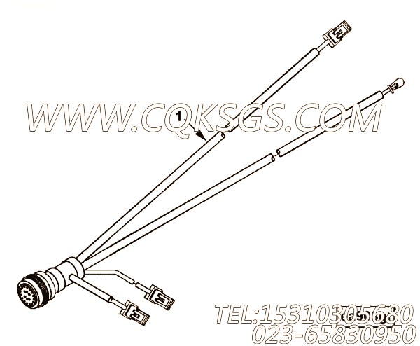 Harness, Wiring