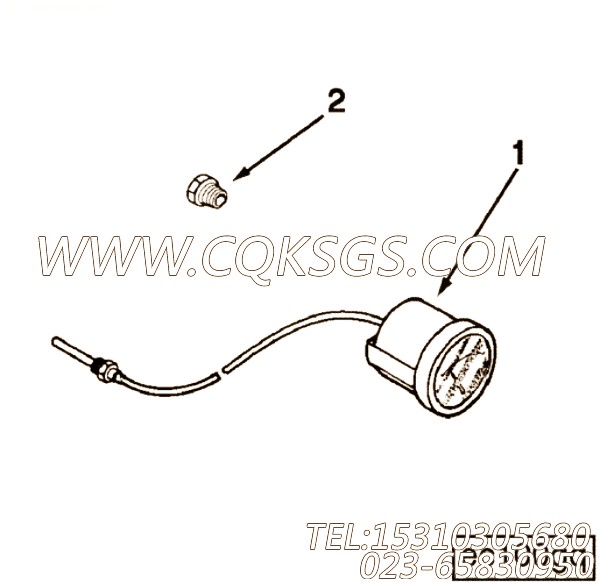 Bushing, Reducing Pipe