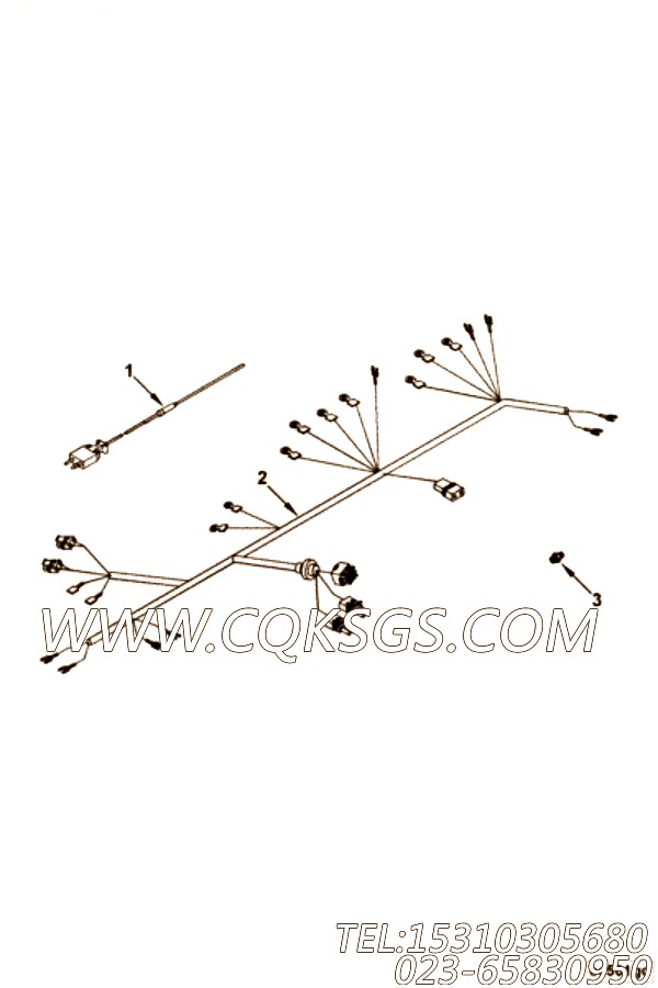 Harness, Wiring