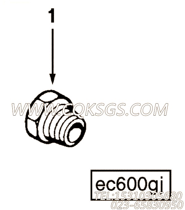 190796异径管衬套,用于康明斯KTA38-G5-880KW动力管衬套安装组,【发电用】配件