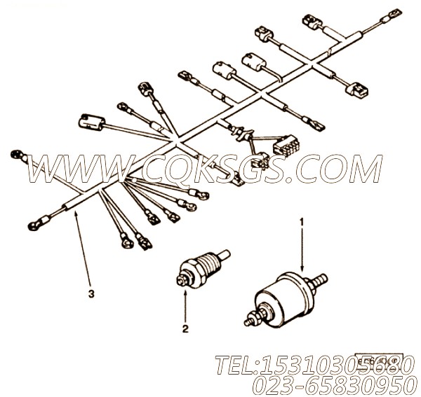 Harness, Wiring