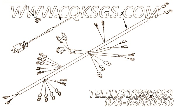 Harness, Wiring