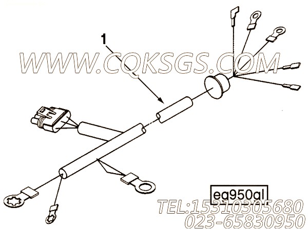 Harness, Wiring