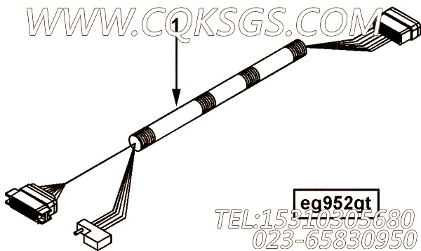 Harness, Wiring