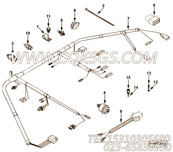 Harness, Wiring