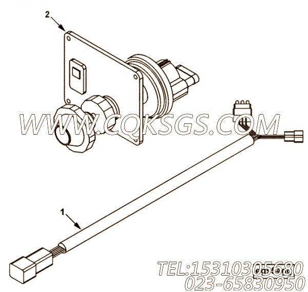 Harness, Wiring