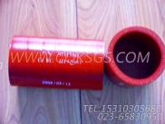 【软管】康明斯CUMMINS柴油机的3031560 软管