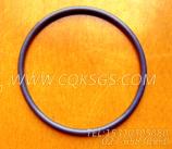 【Ø形密封圈】康明斯CUMMINS柴油机的145623 Ø形密封圈