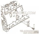 【引擎支持】康明斯CUMMINS柴油机的3923213 引擎支持
