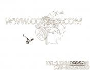 【六角法兰六角螺钉】康明斯CUMMINS柴油机的C6731515230 六角法兰六角螺钉