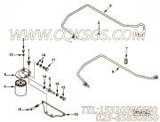 【燃油滤清器】康明斯CUMMINS柴油机的C6003117480 燃油滤清器