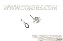 【密封垫圈】康明斯CUMMINS柴油机的3906773 密封垫圈