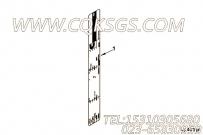 【铭牌】康明斯CUMMINS柴油机的4953598 铭牌