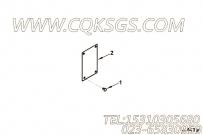 【铭牌】康明斯CUMMINS柴油机的3021876 铭牌