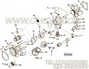 【Ø形密封圈】康明斯CUMMINS柴油机的14558 25 Ø形密封圈