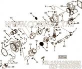 【引擎6CTAA8.3-C215的燃油泵连接件组】 康明斯O形密封圈报价,参数及图片