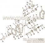 【封面和衬套】康明斯CUMMINS柴油机的3028370 封面和衬套