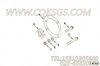 【燃油泵联轴器】康明斯CUMMINS柴油机的4067283 燃油泵联轴器