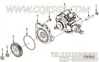 【Ø形密封圈】康明斯CUMMINS柴油机的4944947 Ø形密封圈