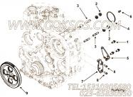 【燃油泵齿轮】康明斯CUMMINS柴油机的3942772 燃油泵齿轮