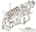 【引擎6CT8.3-C205的基本燃油泵组】 康明斯燃油喷射泵报价,参数及图片