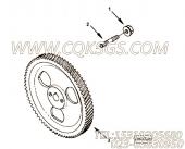 【燃油泵齿轮】康明斯CUMMINS柴油机的3946528 燃油泵齿轮