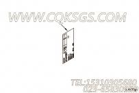 【铭牌】康明斯CUMMINS柴油机的4996962 铭牌