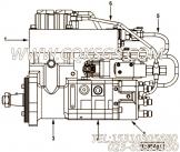 用于进口QSL8.9柴油机喷油泵
