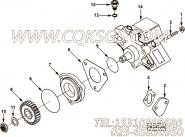 【燃油泵】康明斯CUMMINS柴油机的4894667 燃油泵