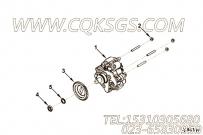 【燃油泵齿轮】康明斯CUMMINS柴油机的5273414 燃油泵齿轮