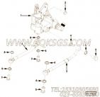 【柔性软管】康明斯CUMMINS柴油机的3687028 柔性软管