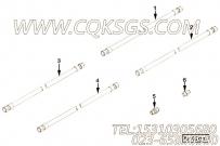 【软管】康明斯CUMMINS柴油机的AK8120S S 软管