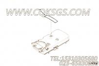 【铭牌】康明斯CUMMINS柴油机的4993983 铭牌