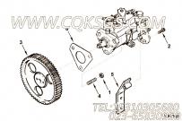 【燃油泵支架】康明斯CUMMINS柴油机的3905387 燃油泵支架